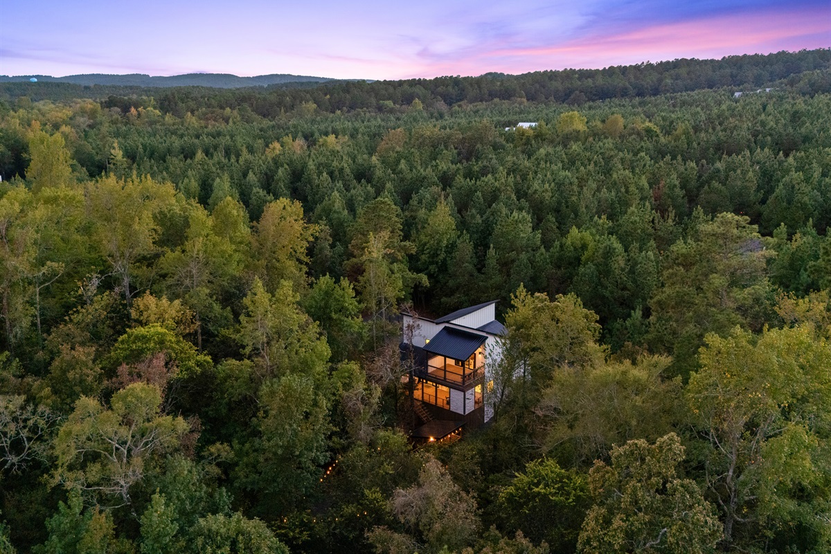 One more wide aerial view captures the peaceful forest canopy stretching out in every direction.