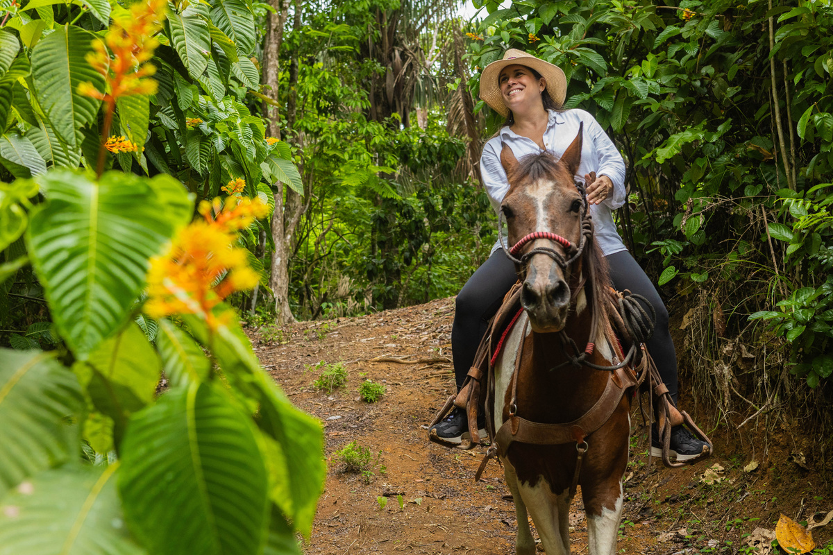Horse rides 