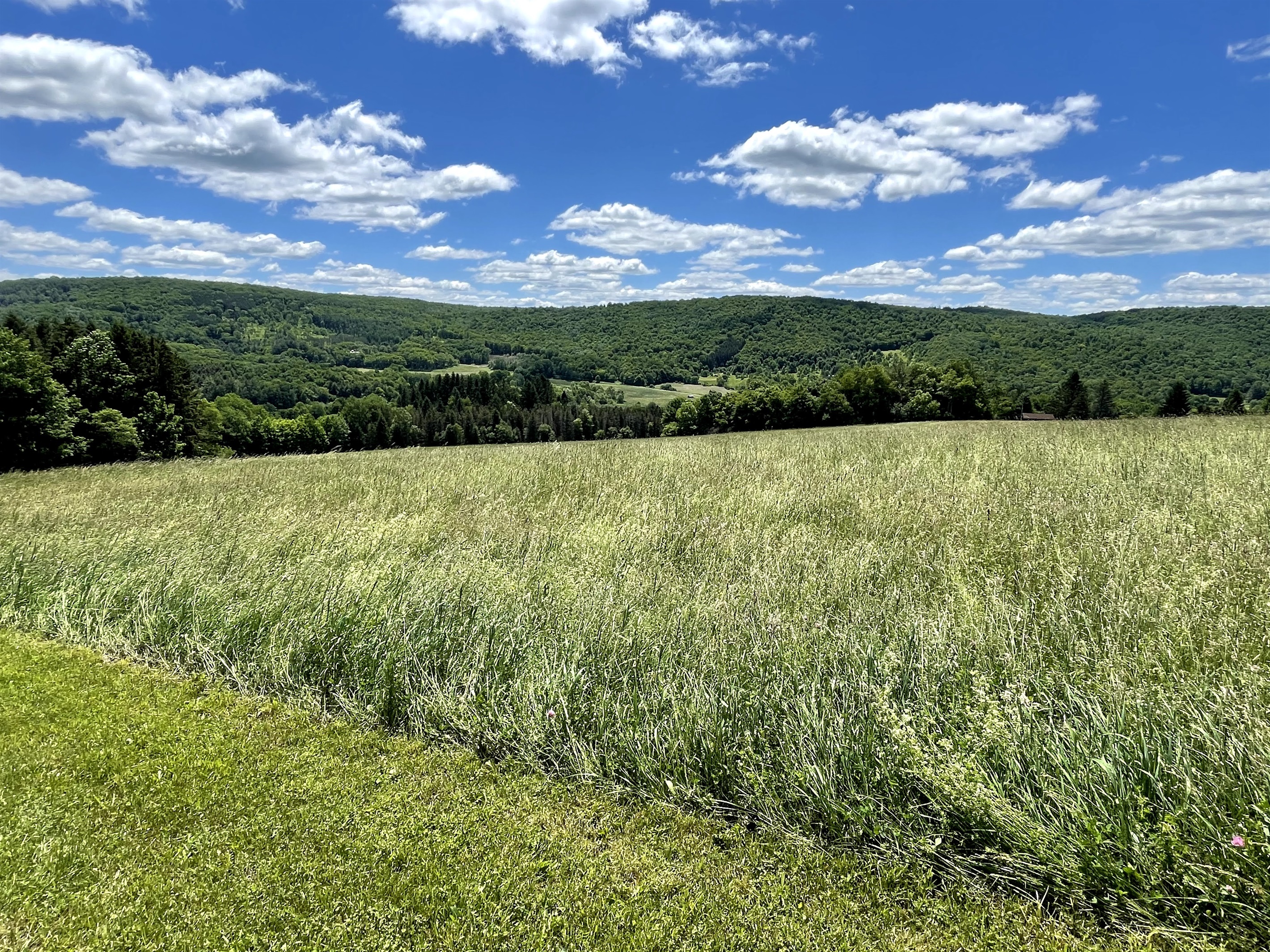 Hay field and rolling hills