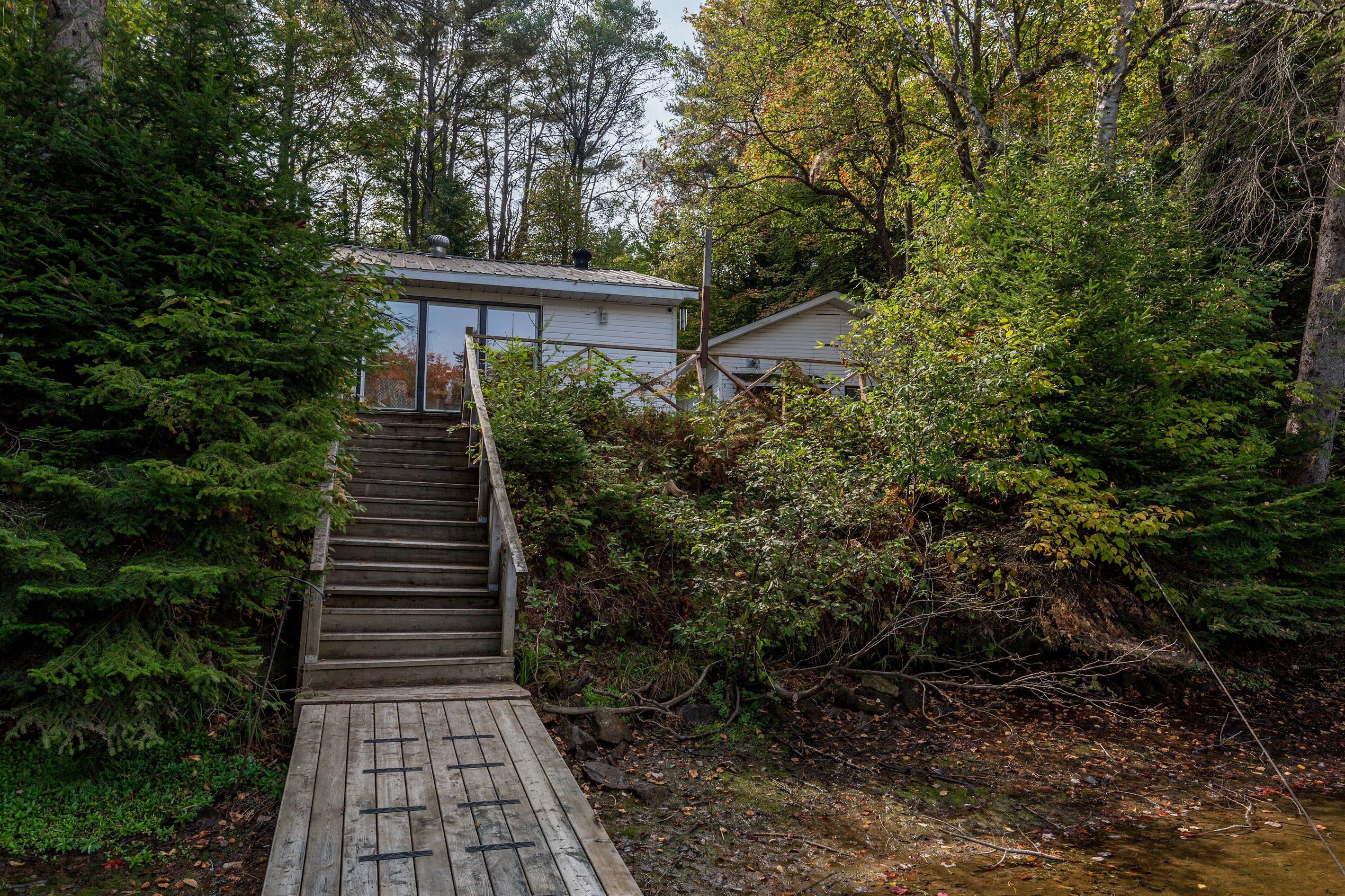 Stairs to Dock