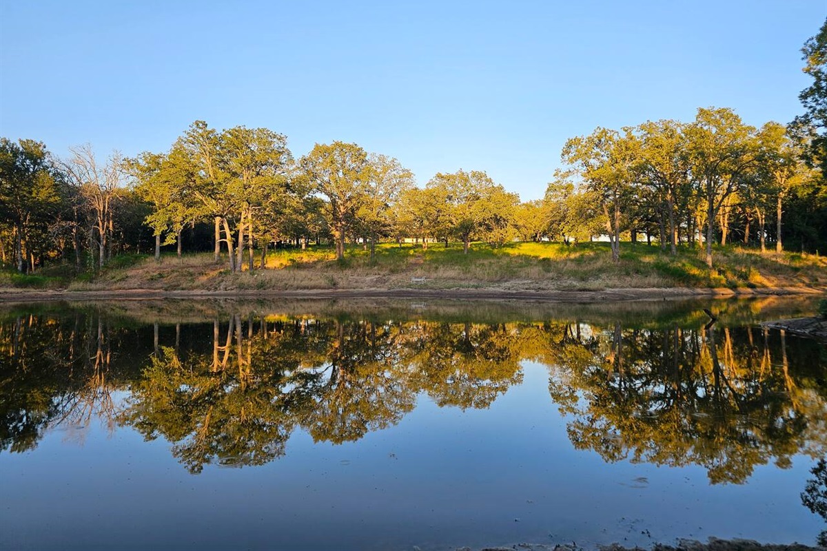 A view of the breathtaking pond
