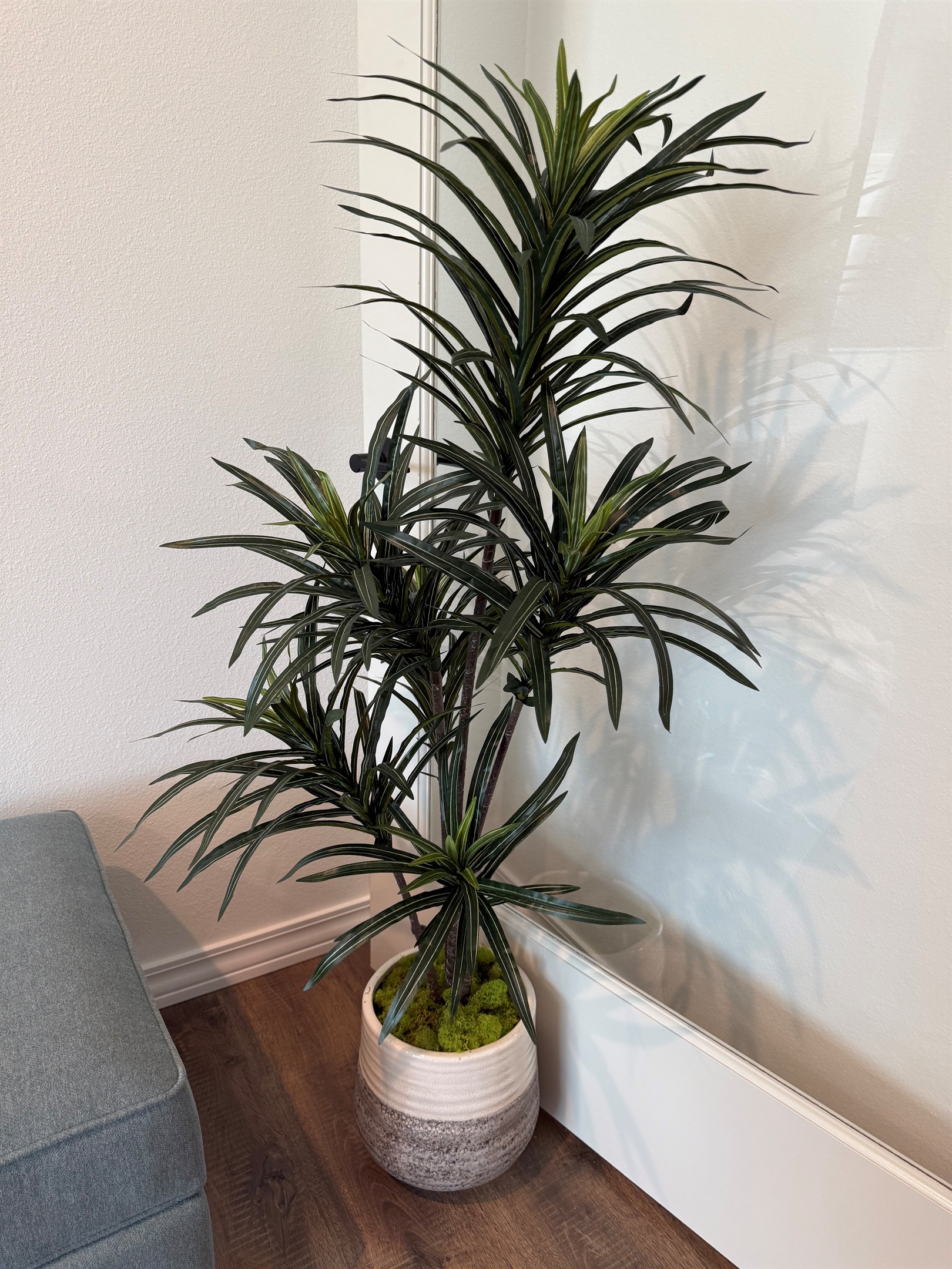 Large potted plants to hold glass doors open and add that home feel to the Living room