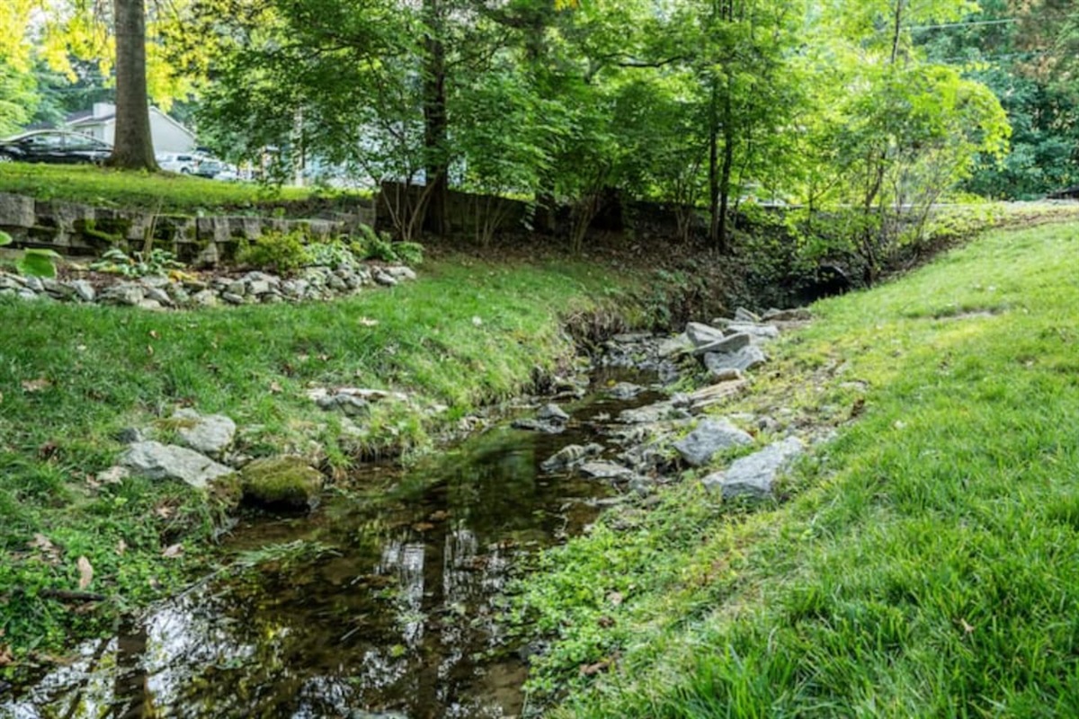 Small creek running through the back yard. 