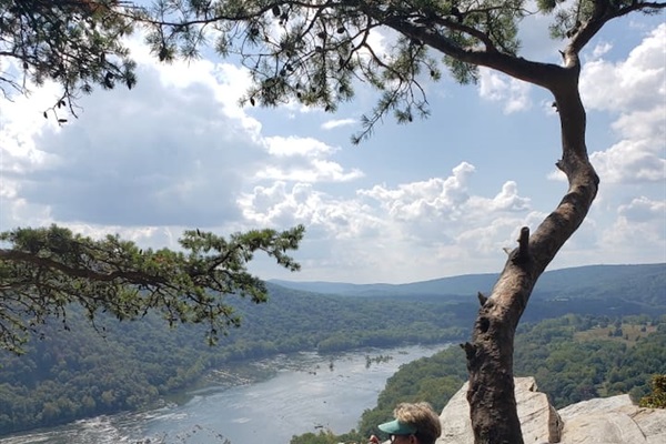 This is the view at Weverton Cliffs, a wonderful hike 12 miles away, on the Appalachian Trail. 