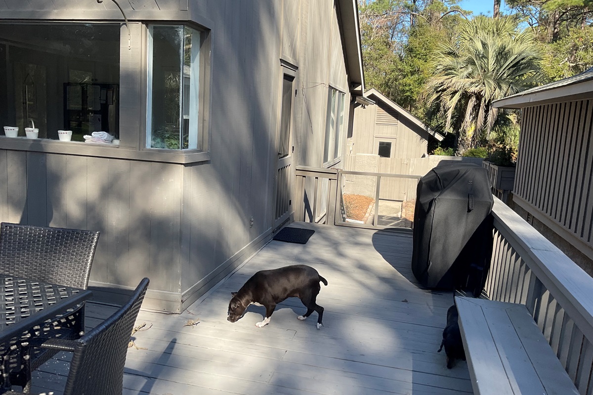 Oversized deck with gate to let pets roam outside safely.