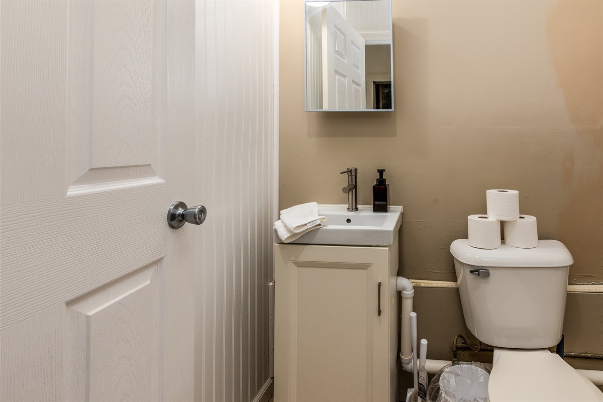 Half Bath in Laundry Room