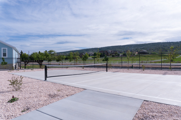 Neighborhood pickleball court