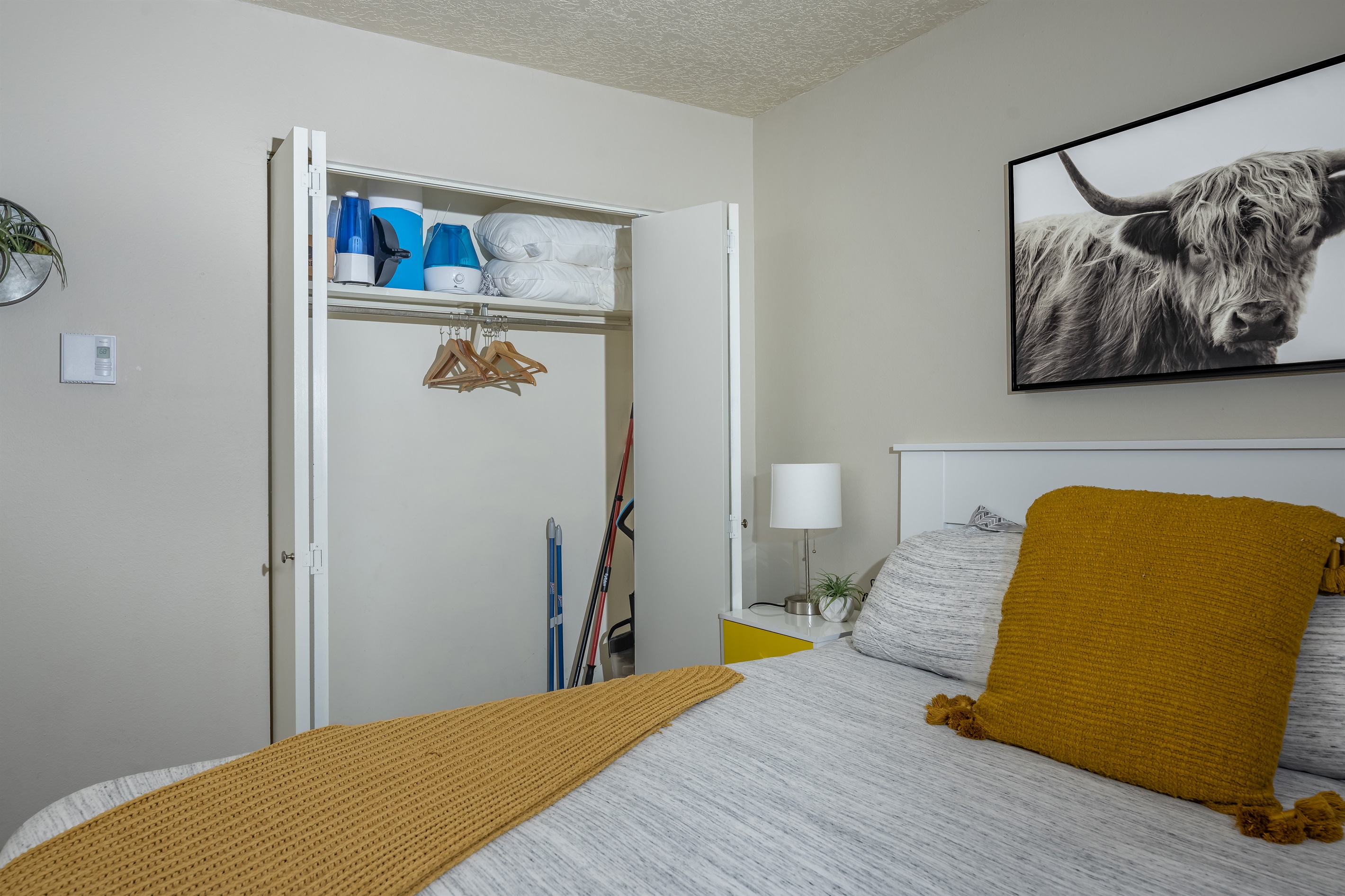 Spacious king bedroom with ample closet storage for easy organization.