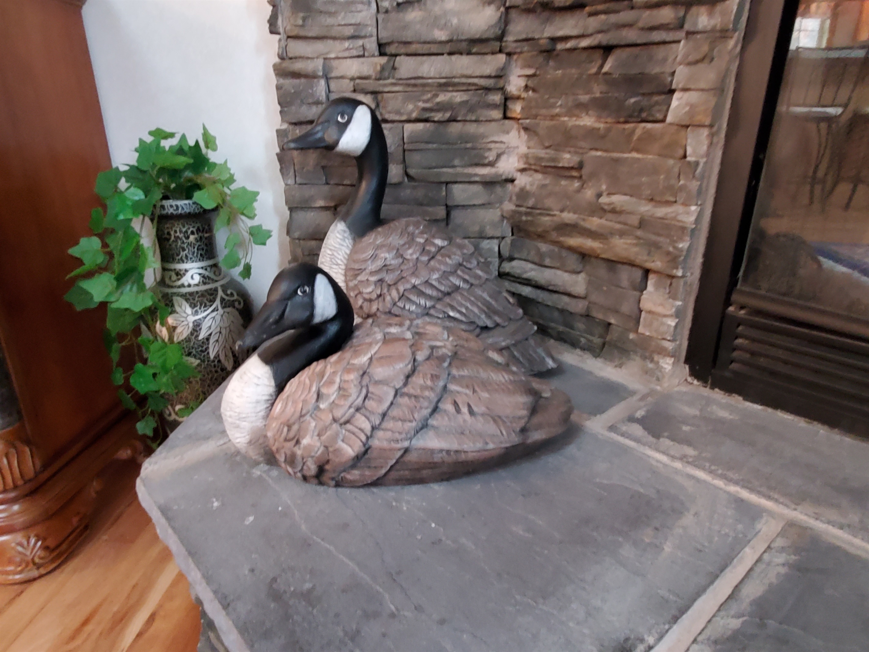Canada geese snuggling by the fireplace