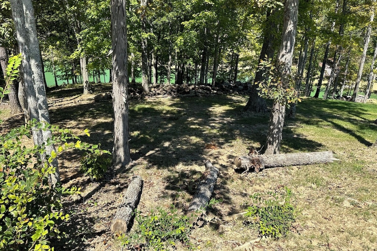 Plenty of free firewood for the fire pit