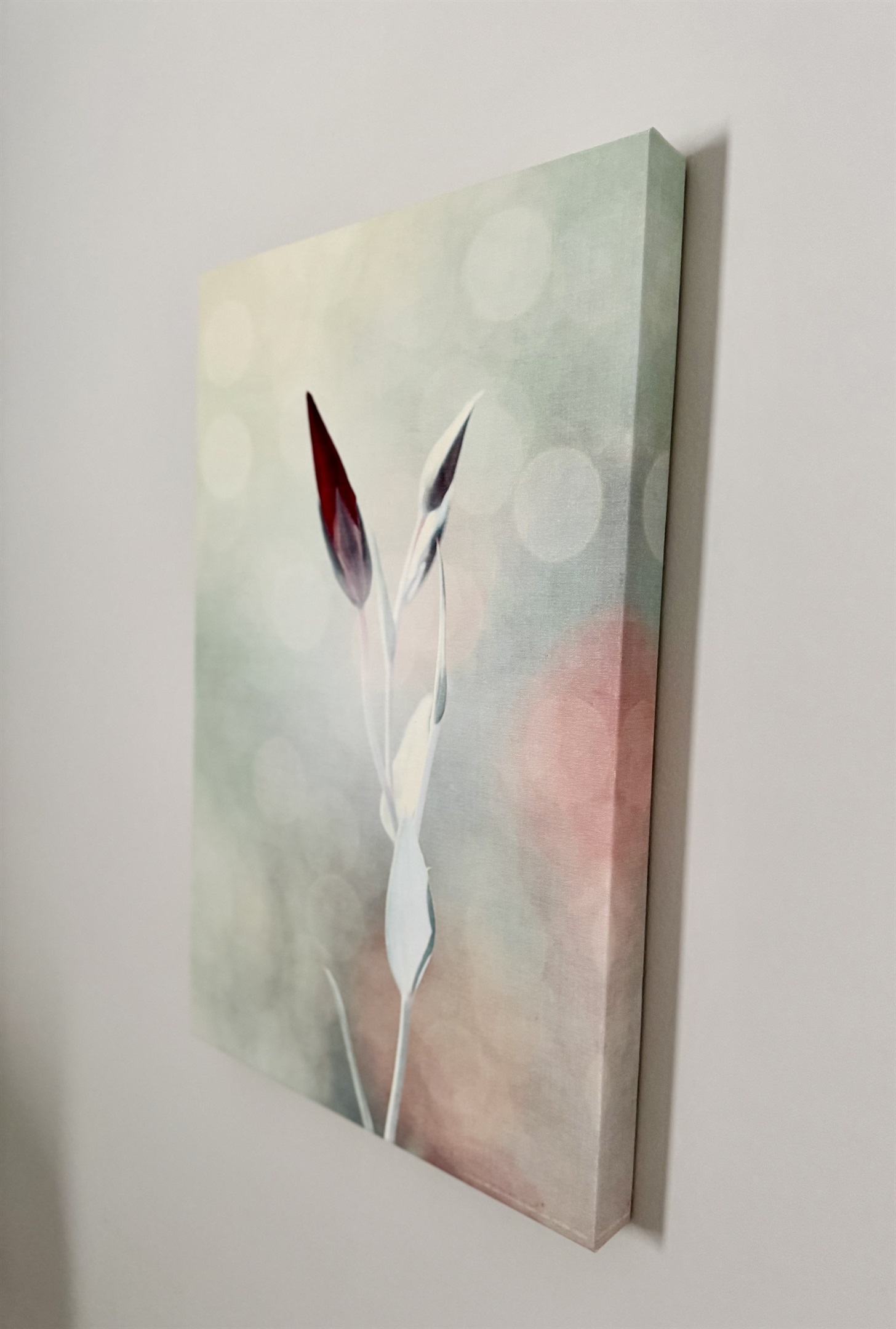 Beauty unfolds