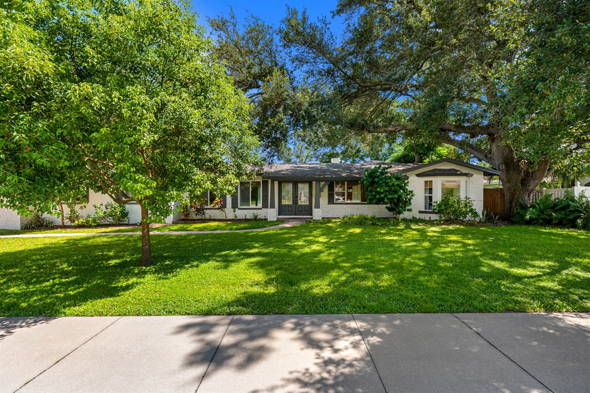 Front Yard