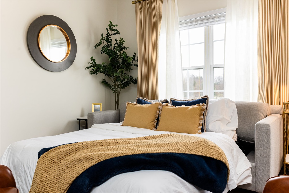 Back Living Room - Pull Out Couch - Queen