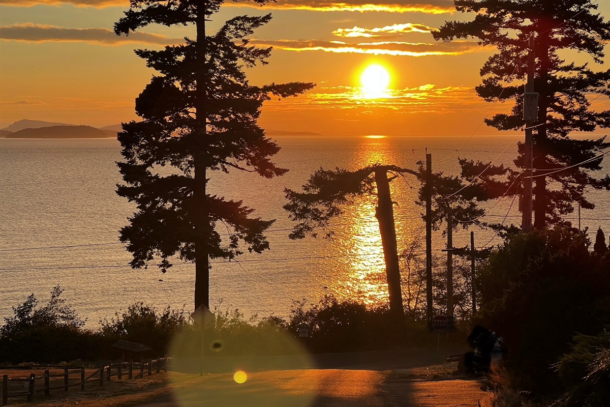 As you explore the island, notice those moments that just stop you in your path - Linger a bit longer and take an extra deep breath. These are moments worth savoring. 