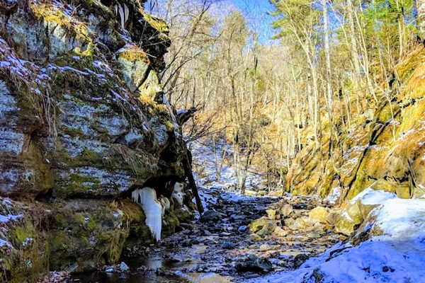 Parfrey's Glen State Natural Area (23 miles)