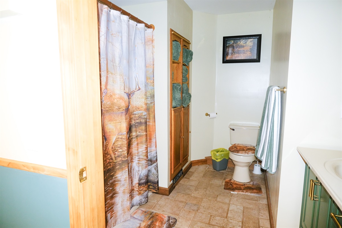 Stall Shower in Basement
