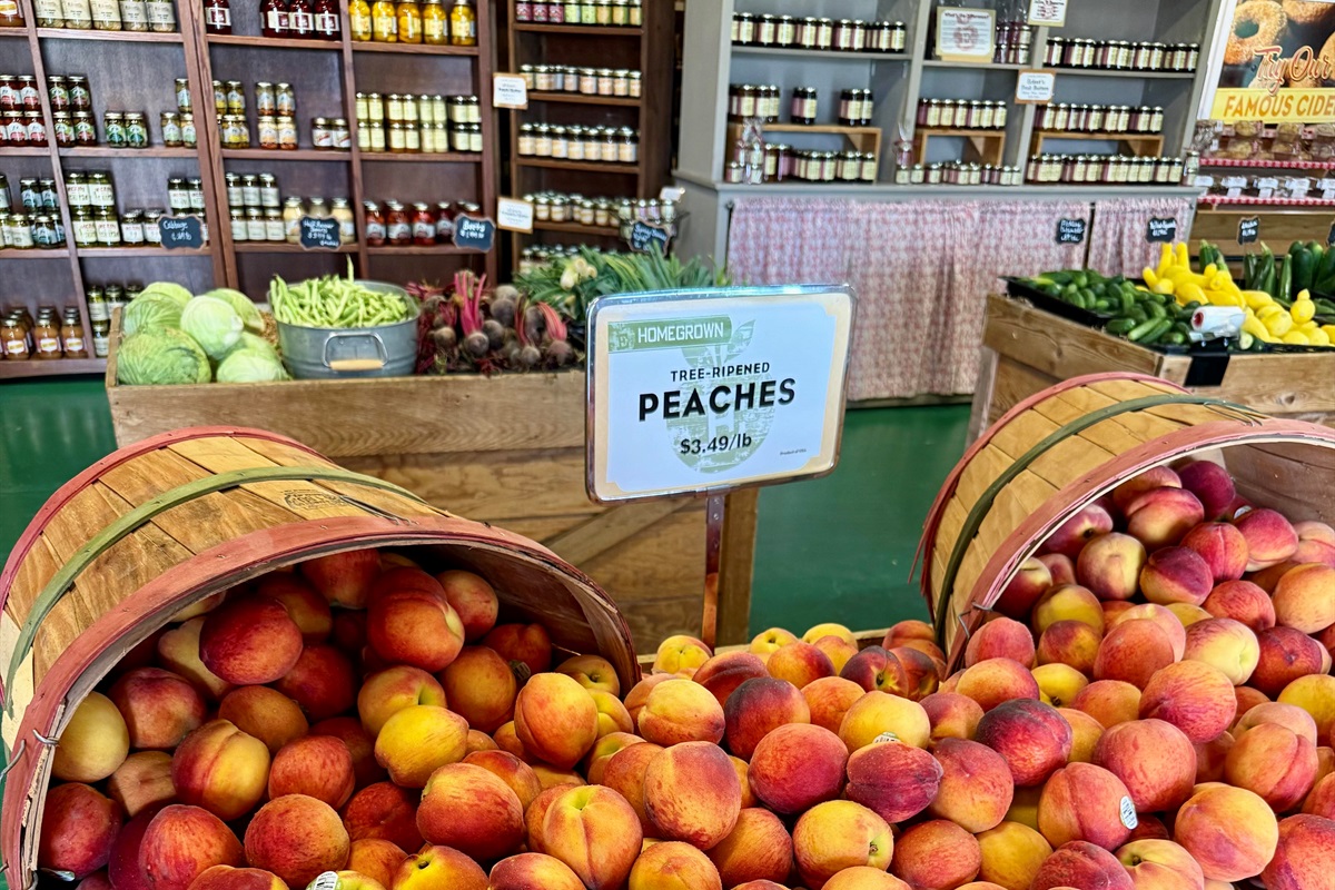 Pick your own sunshine! Peach season at Eckert’s is all about fresh fruit, happy hands, and summer smiles.