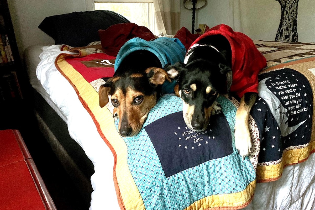 Lake‑ozarks‑pet‑friendly‑welcome‑sign