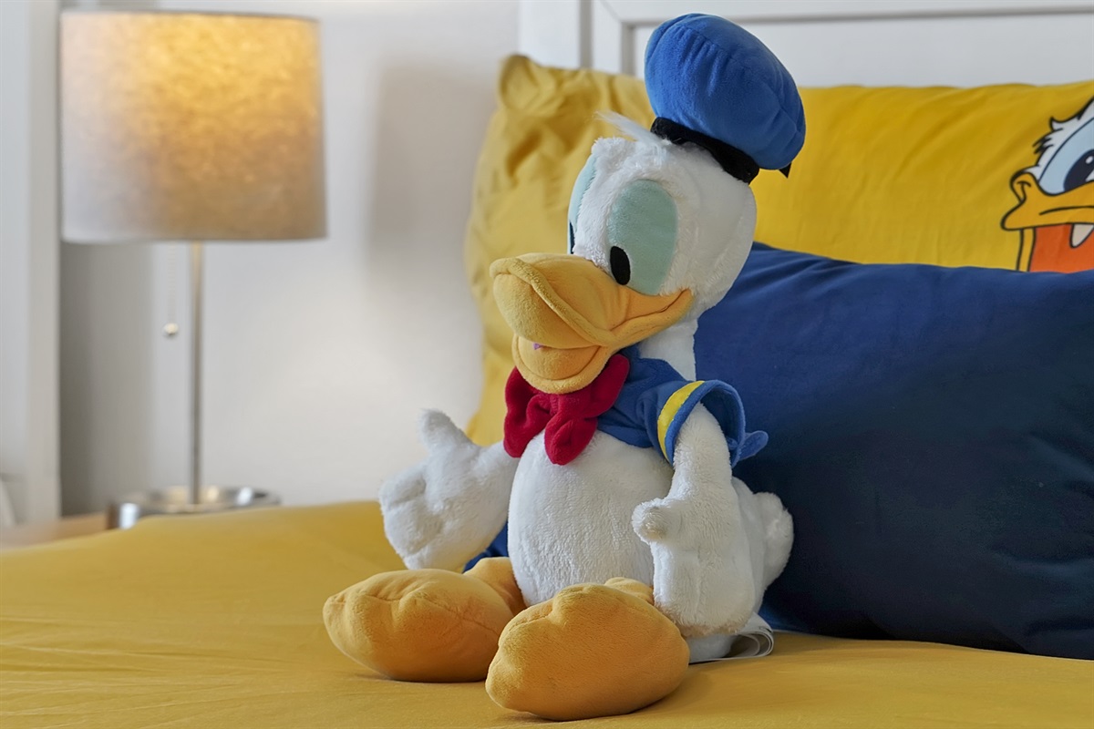 Donald and Pluto are looking for Mickey!
