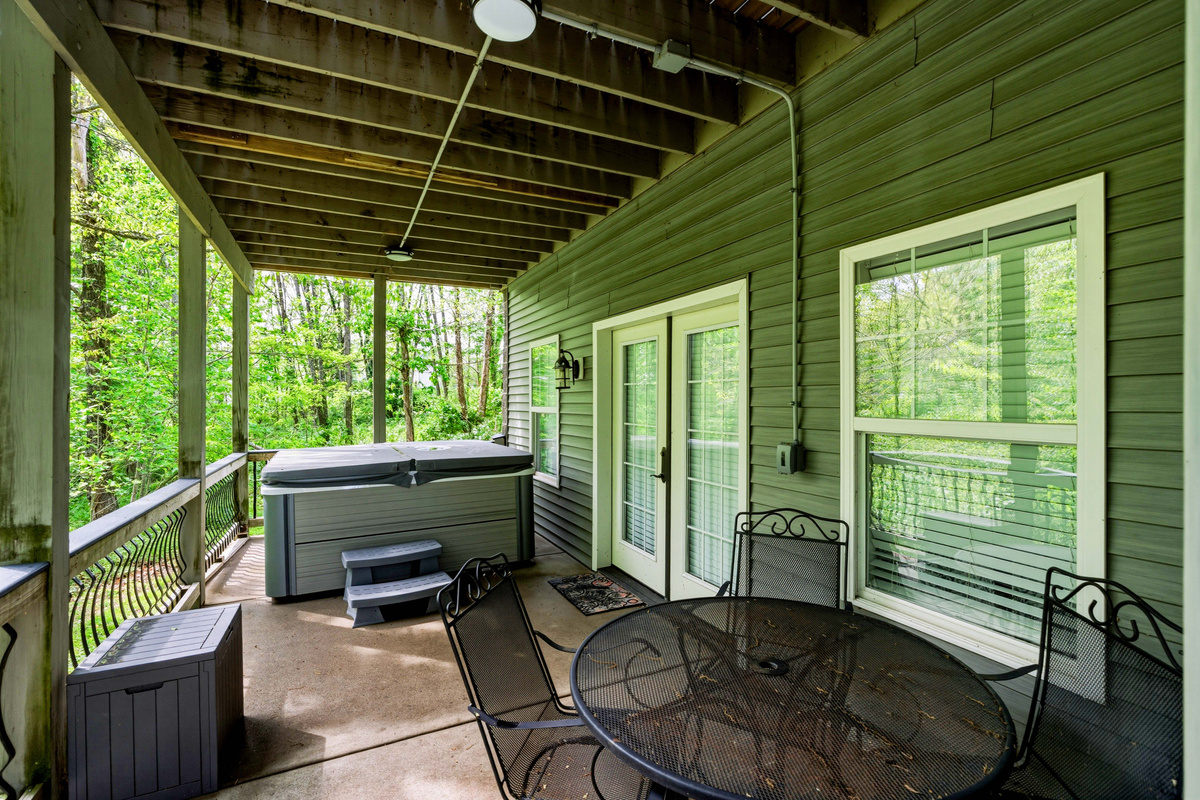 Rear patio and hot tub