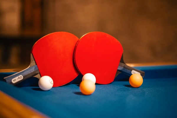 Ping Pong anyone?