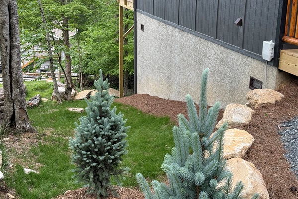 Side yard