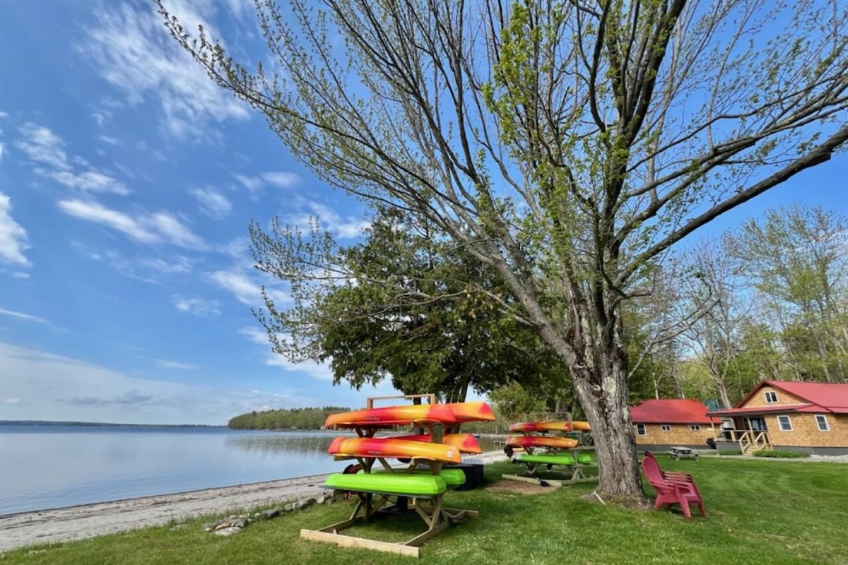 kayaks