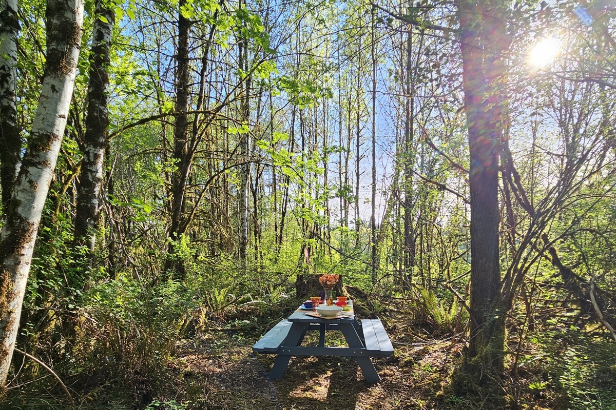 Dine in a secluded upland clearing at the end of a 4 acre walk through the wetland forest, surrounded by birds and woodland creatures.