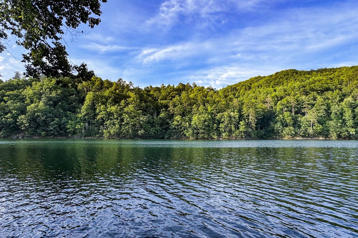 A view from our dock in the Summer months