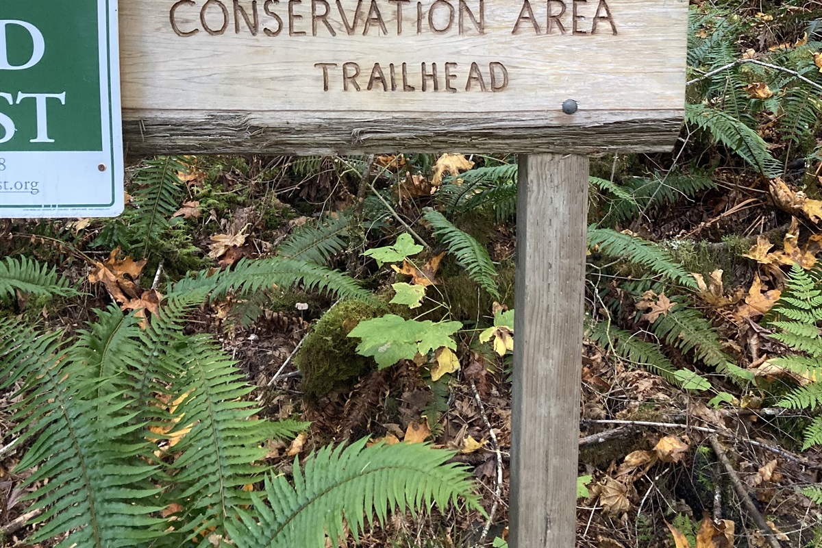 Barr Creek trailhead is just a 1/4 mile walk along the road from the cabin