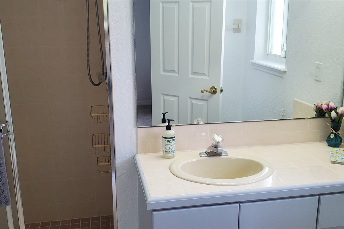Queen bathroom with walk in shower