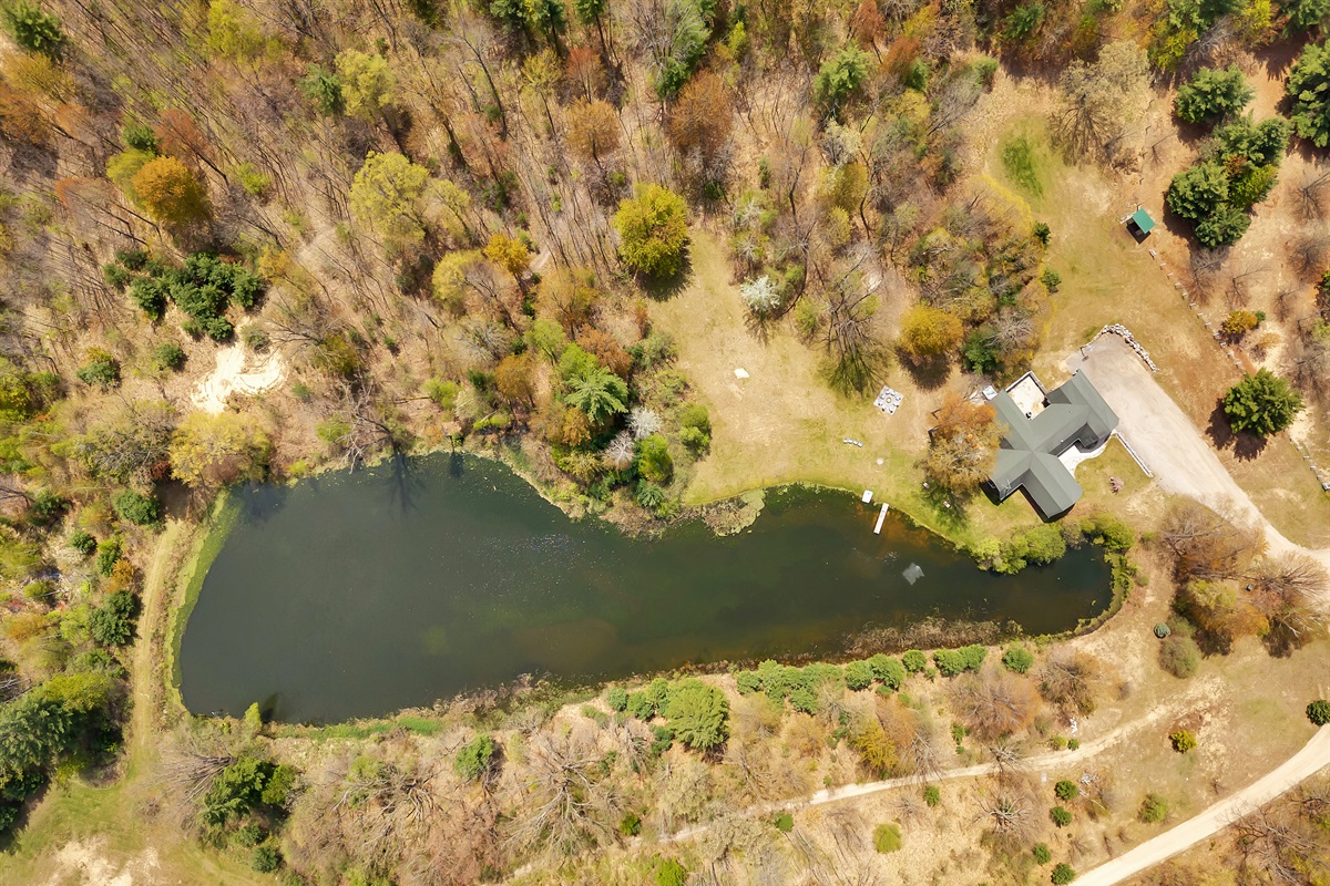 Aerial View.