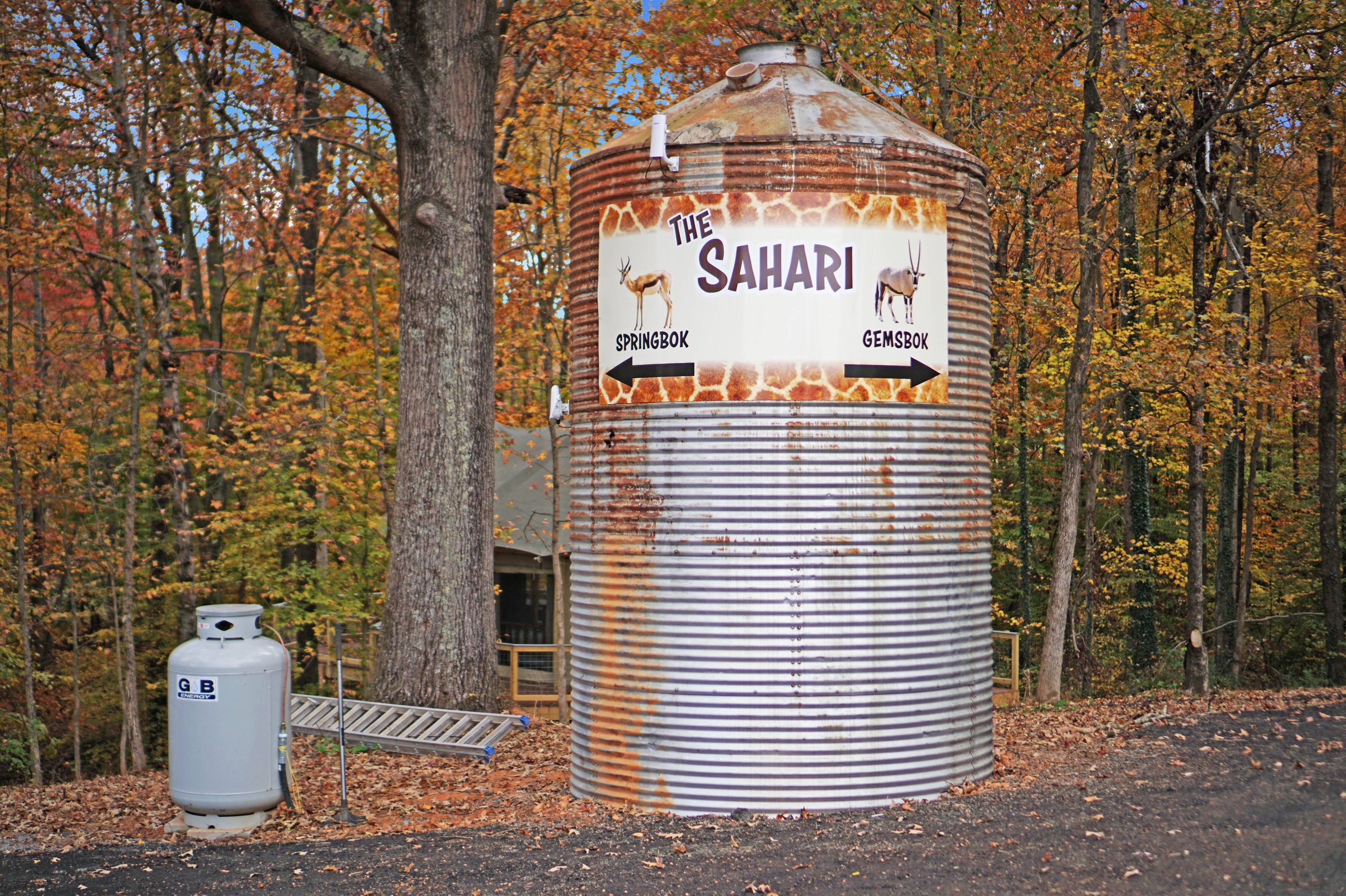 Let the sign guide you where the wild vibes begin.