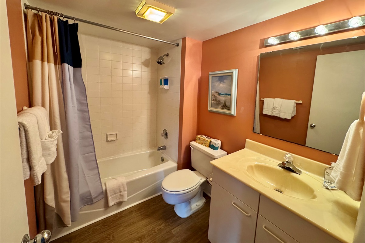 Hallway Bathroom