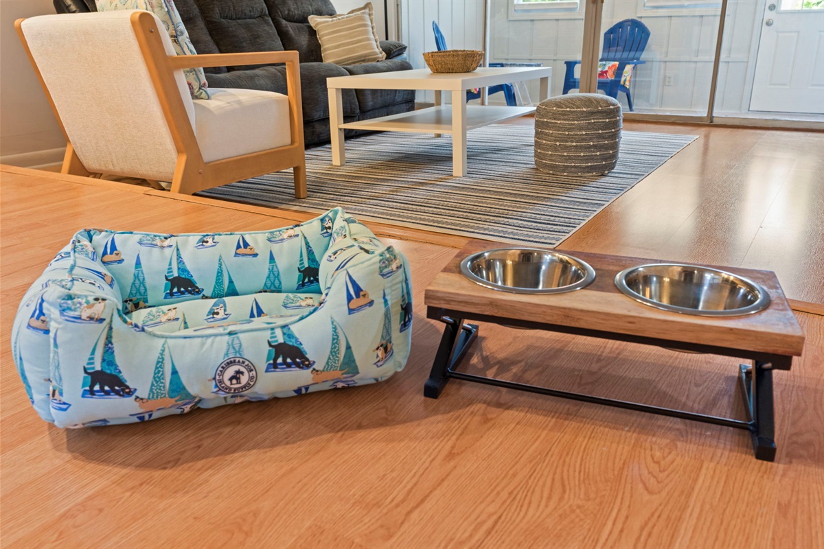 Bring your pets to the beach with you!
