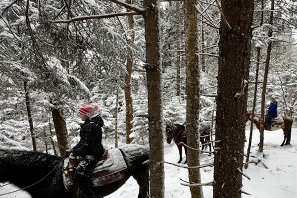 Explore the snowy trails on a guided horseback riding tour.