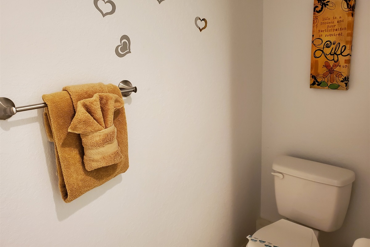Twin bathroom toilet