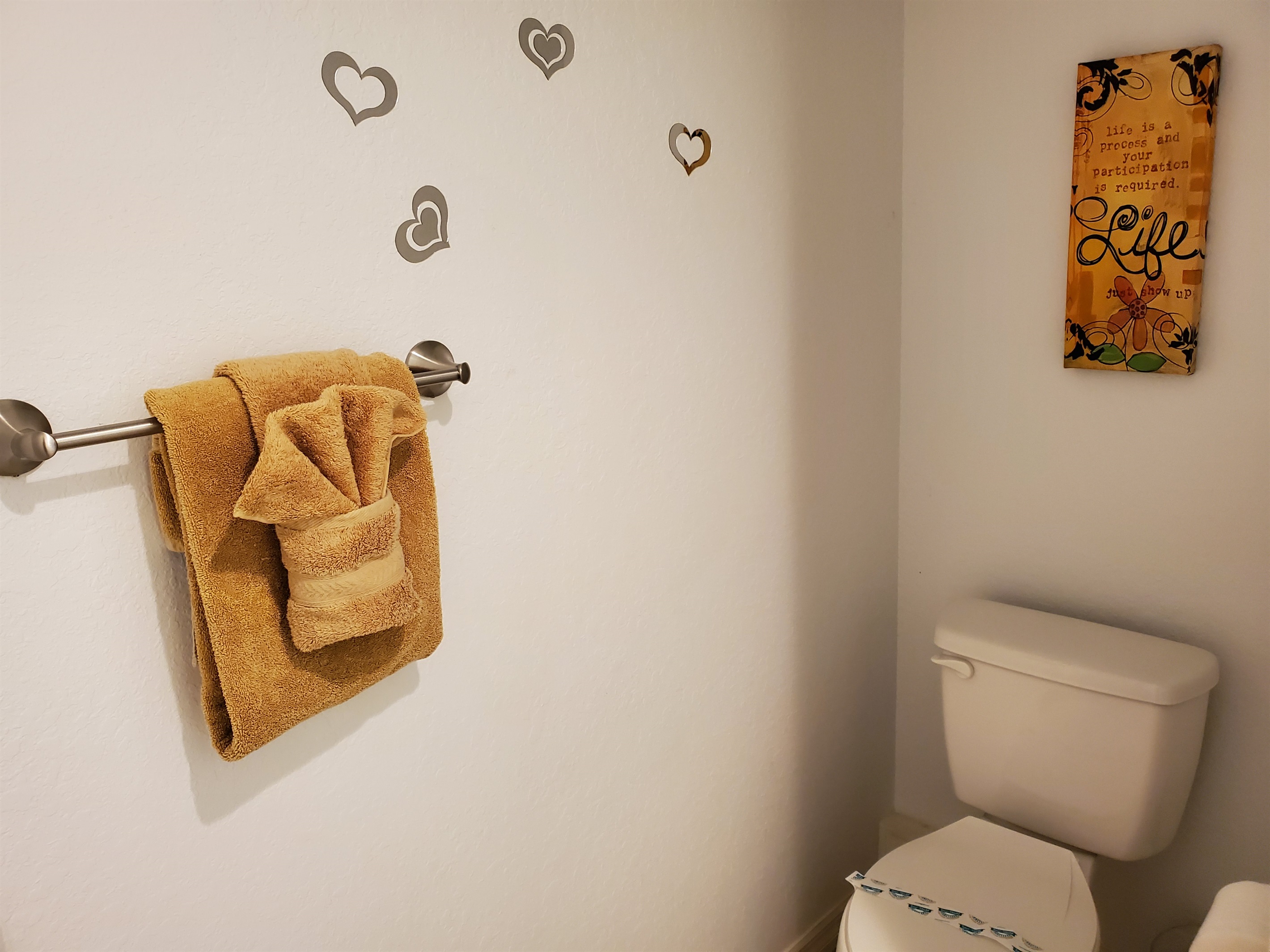 Twin bathroom toilet