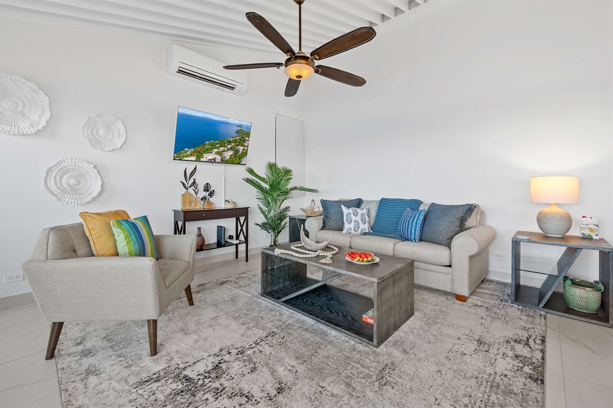 Large living room with Smarth TV