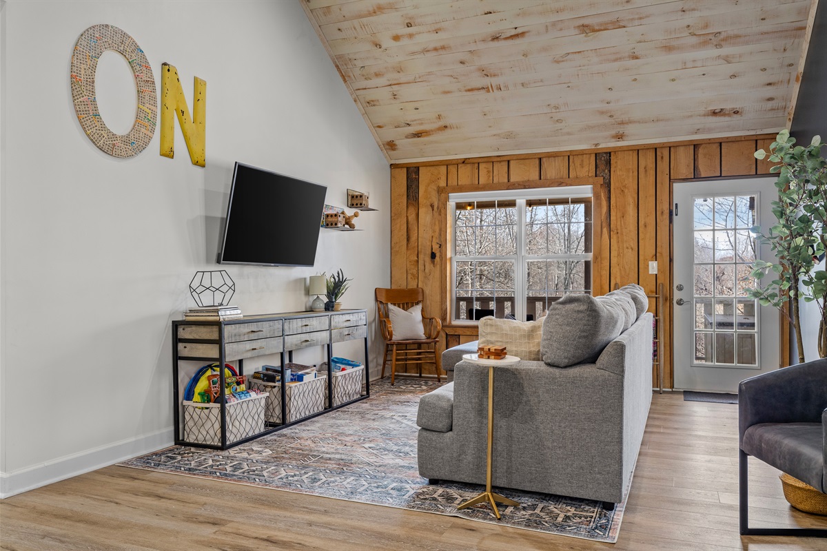 Back living room with smart tv, toys, games.