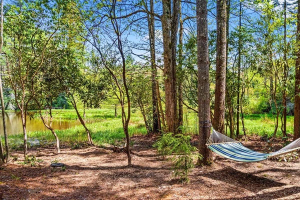 Laze in the hammock and watch the ducks paddle together or fly in for a landing.