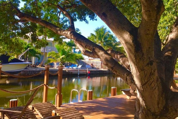 Shaded dock and beach area