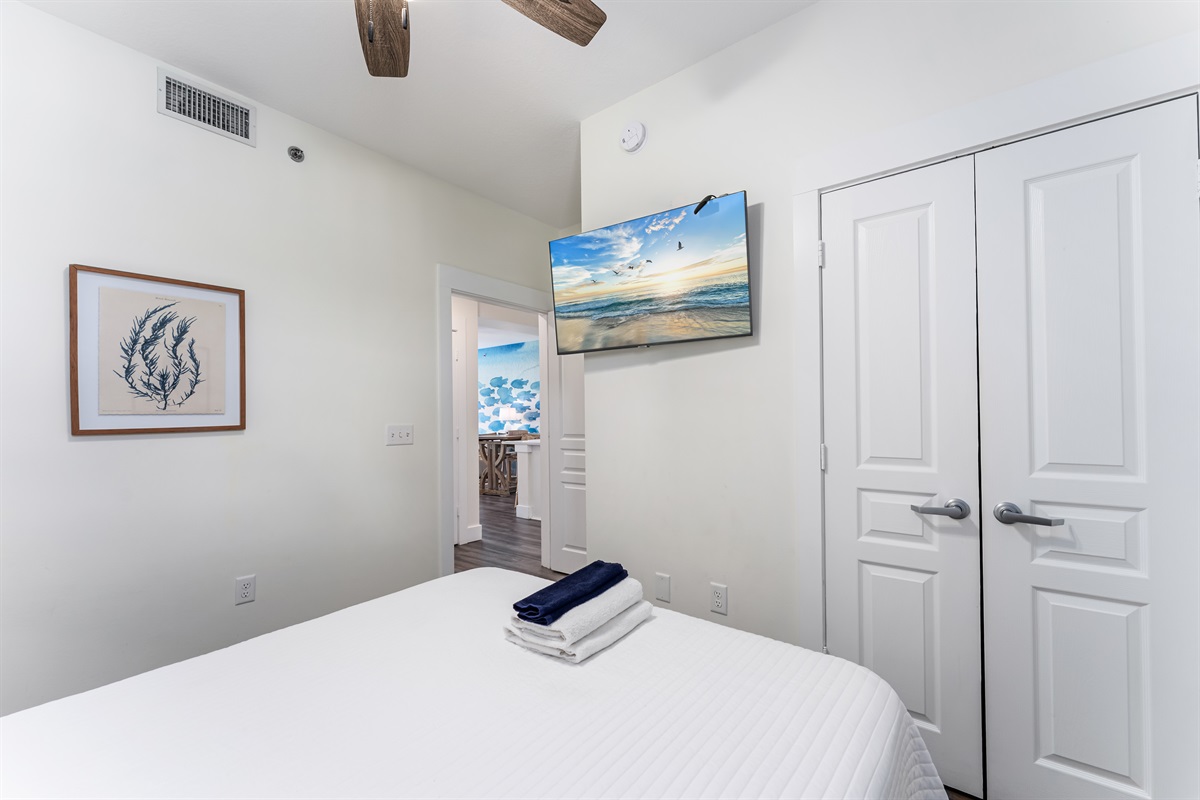 45" smart TV with Roku & ceiling fan. Mexico Beach, FL.