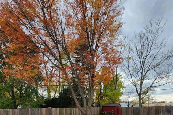 Fall color looks incredible!