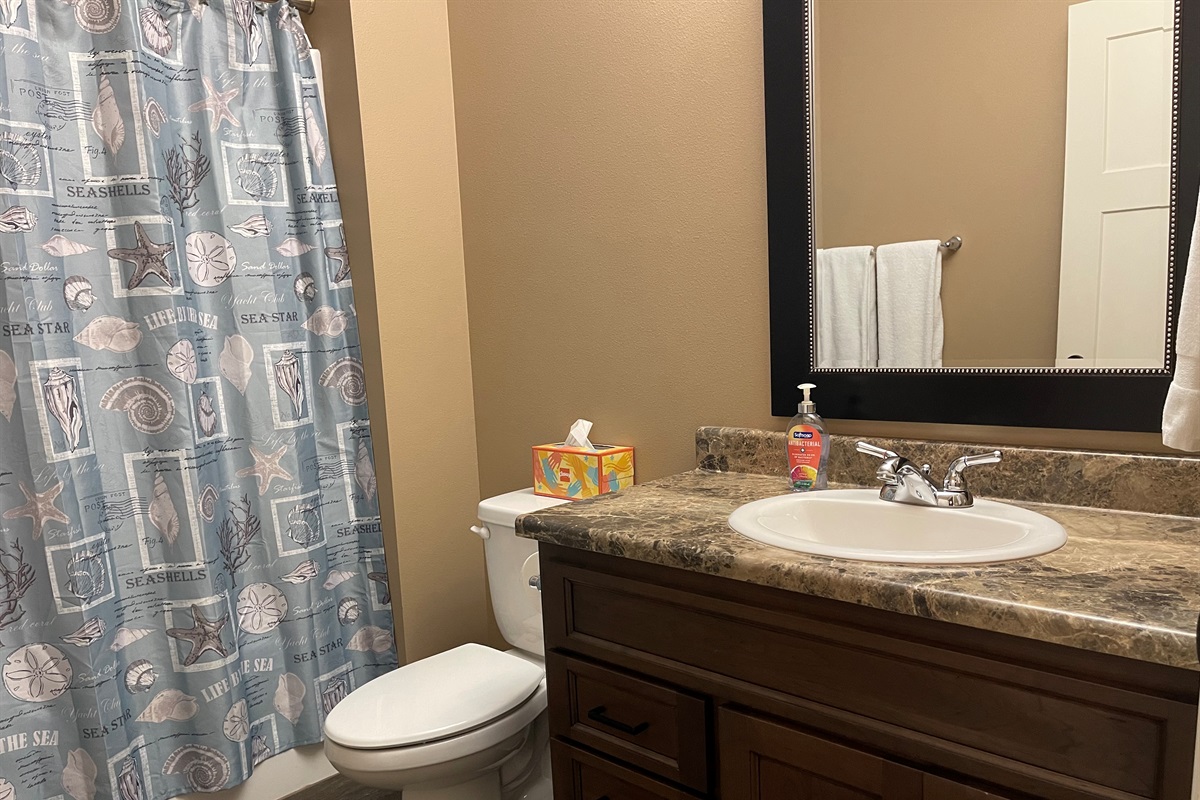 Guest Bathroom