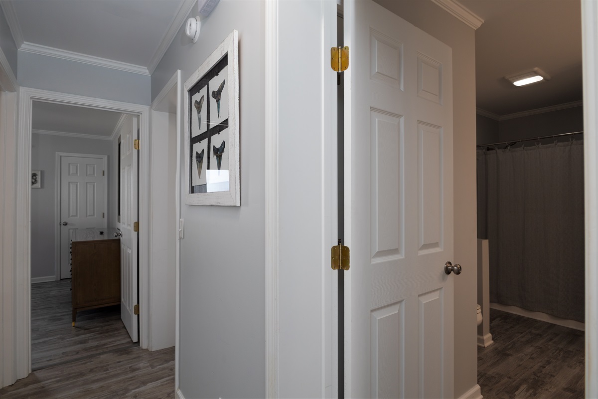 A serene passageway of possibilities