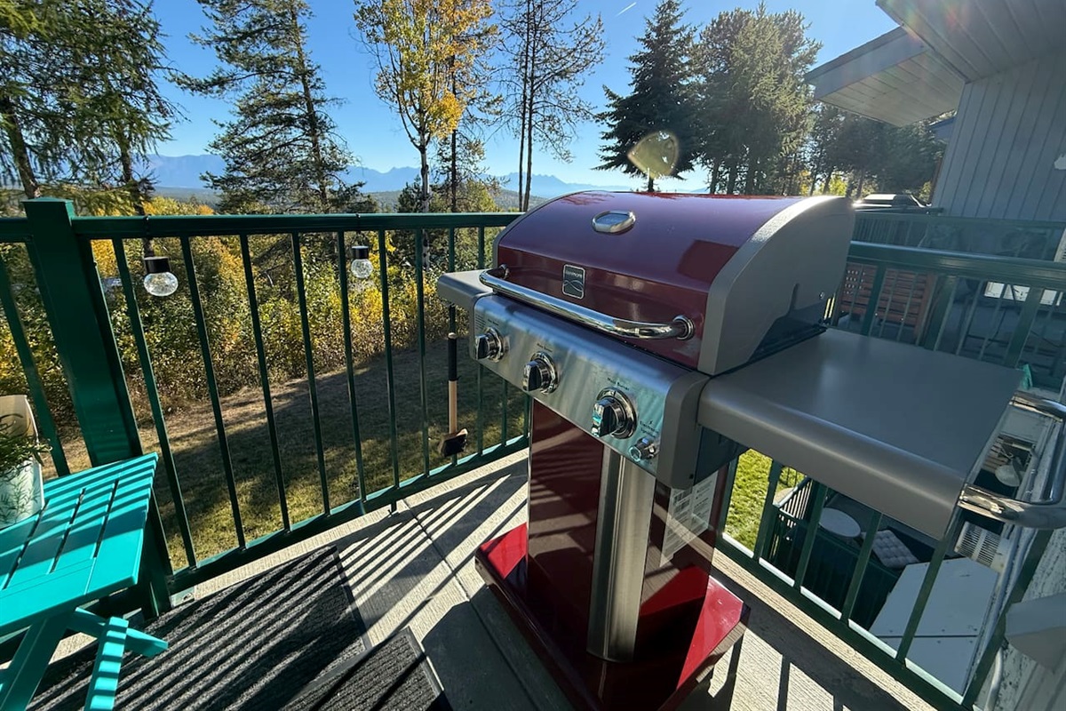 BBQ while enjoying the view!