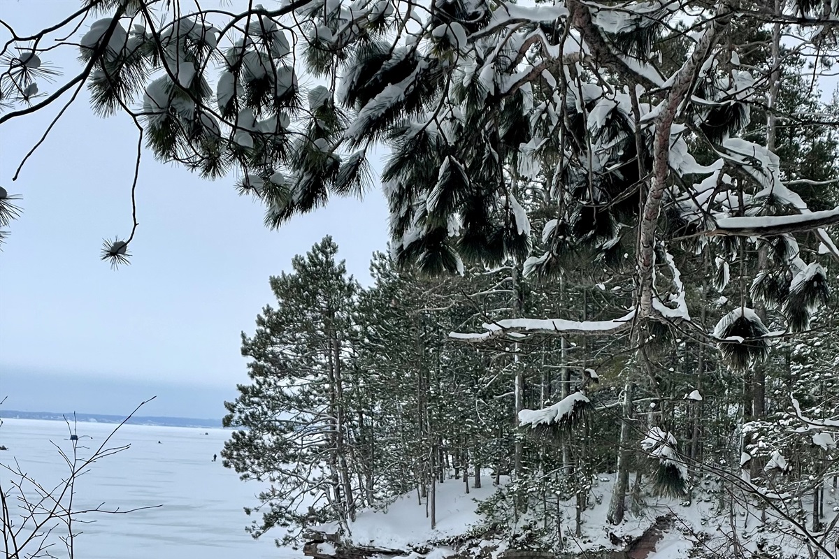 Houghton Falls hiking trail in Washburn, WI 20 min from cottages. 30 min aprox hike brings you to Lake Superior views at the end rock cliffs. Open year-round. Winter scene. 