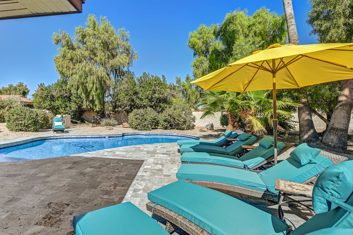 Relax and listen to the wind blowing throw the Palm Trees