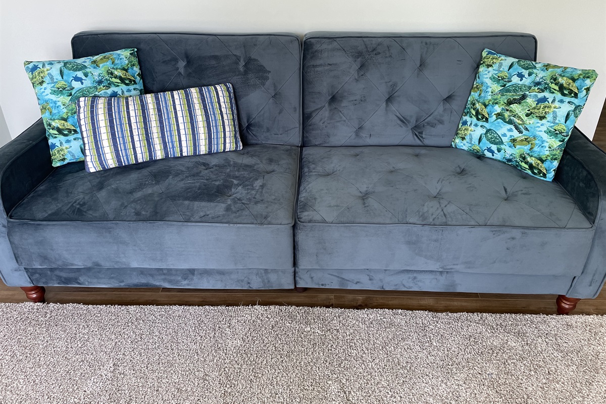 Game room has a couch/futon for extra sleeping